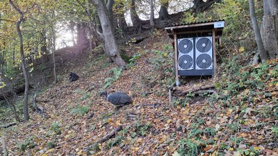 Feldscheibe und 3D Ziel Geier
